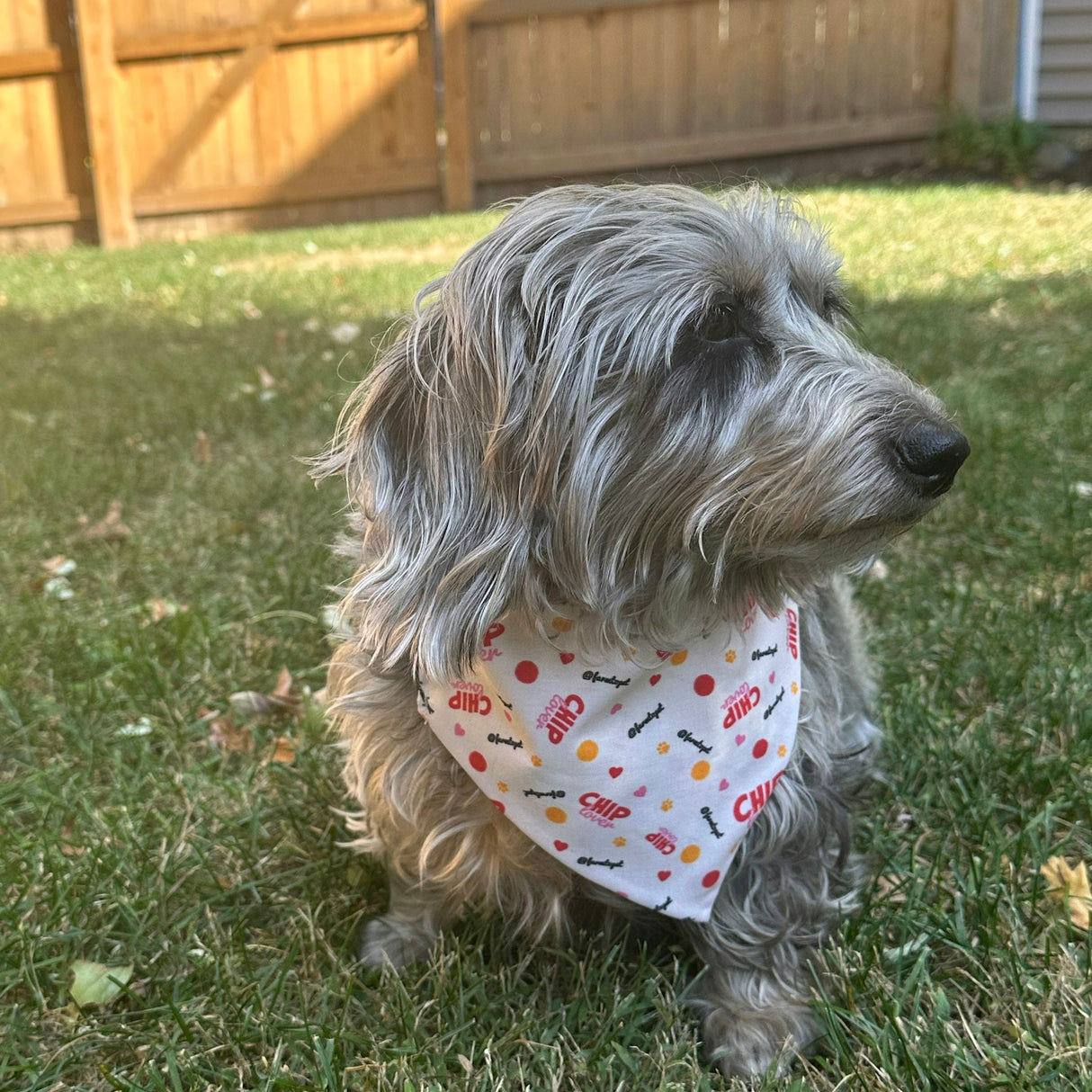 Tie-on Dog Bandana | Adjustable String-tie Bandana for Dogs and Cats from Farm To Pet