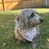 Tie-on Dog Bandana | Adjustable String-tie Bandana for Dogs and Cats from Farm To Pet