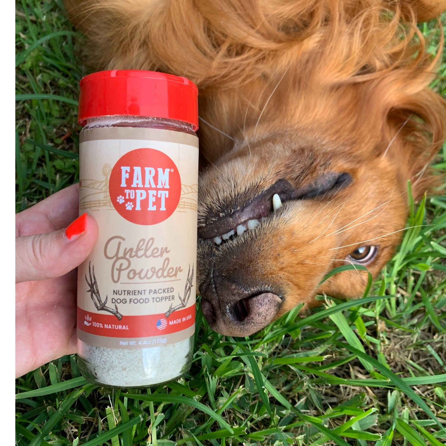 Treat Topper Antler Powder Dog Food Topper | Nutritional Supplement for Dogs and Cats