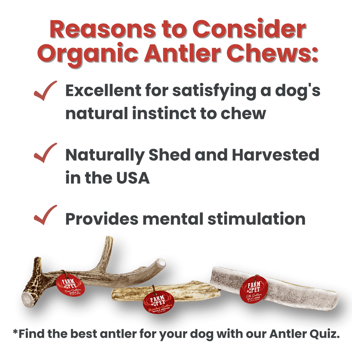 Reindeer Antlers for Dogs | Antler Dog Chews for Aggressive Chewers