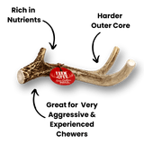Deer Antler Dog Chews | Organic Antler Chews from Farm To Pet