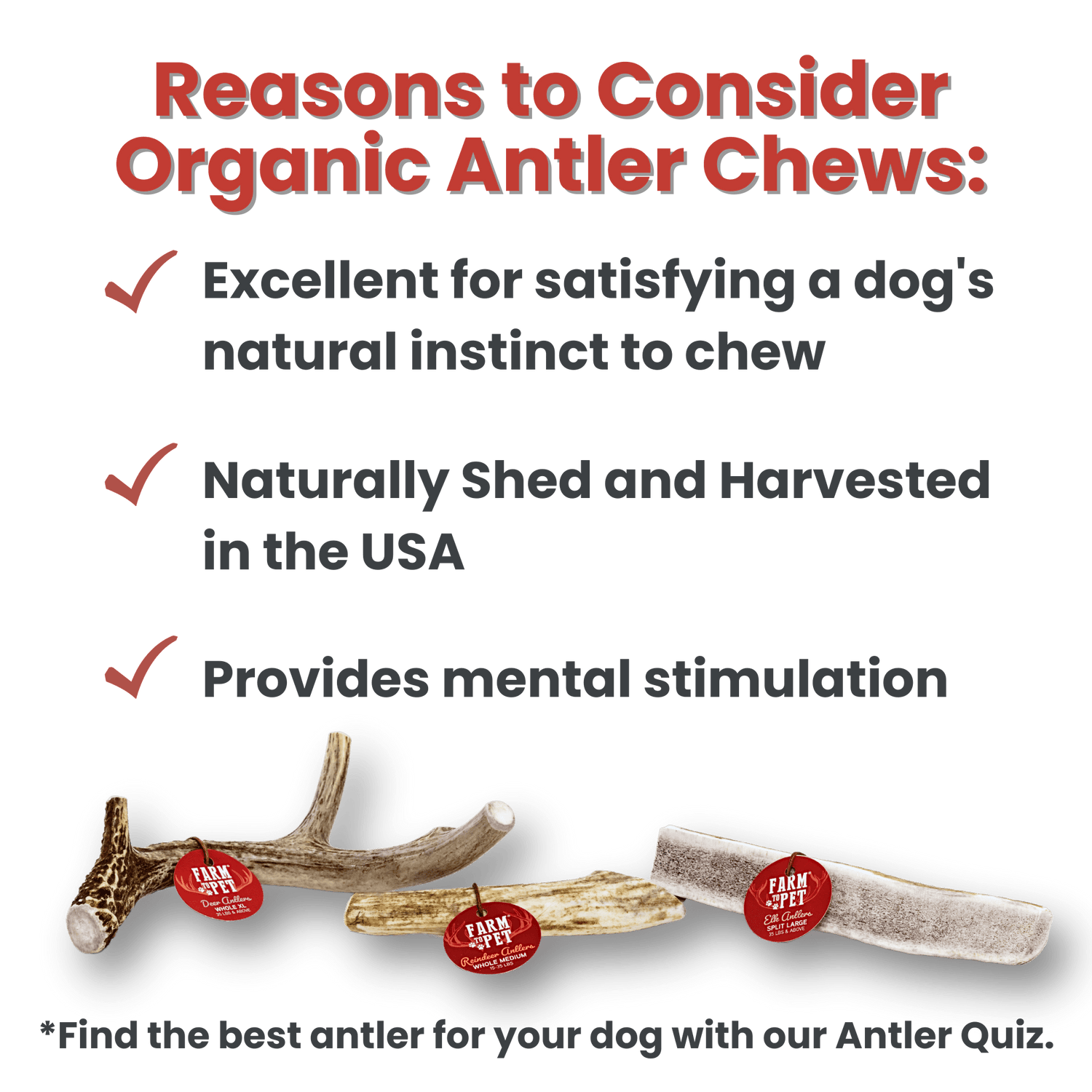 Deer Antler Dog Chews | Organic Antler Chews from Farm To Pet