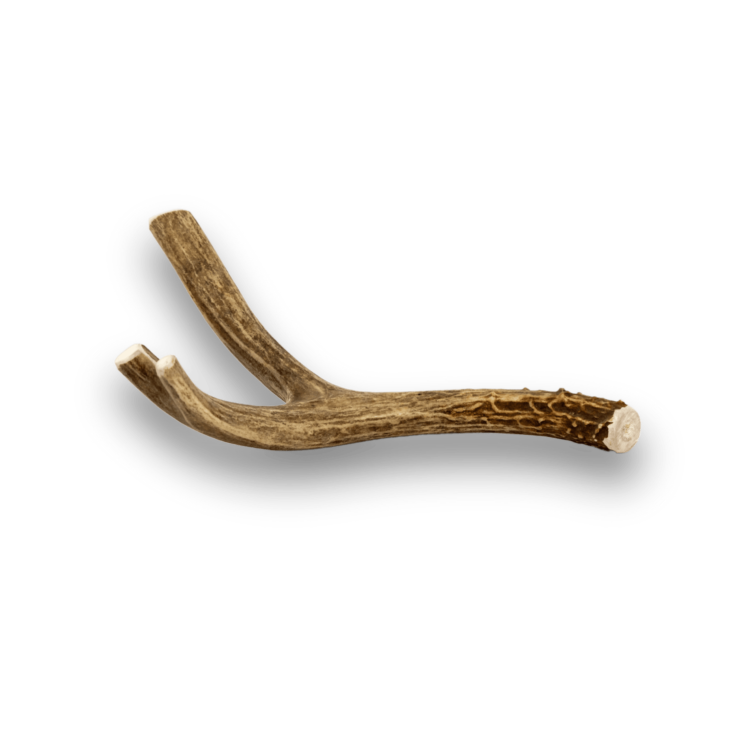 Deer Antler Dog Chews | Organic Antler Chews from Farm To Pet