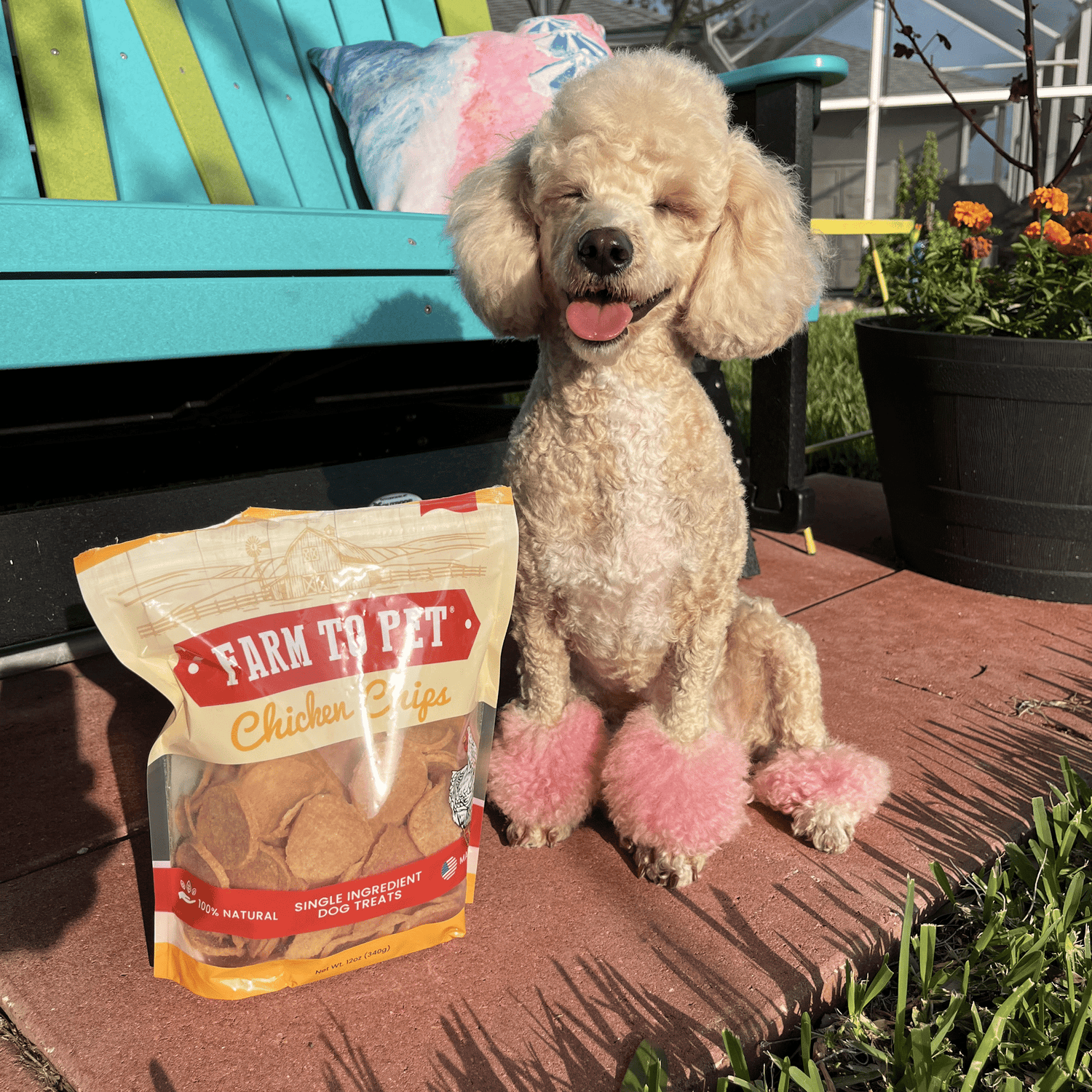 Chicken Chips for Dogs | All-Natural Single-Ingredient Dog Treats