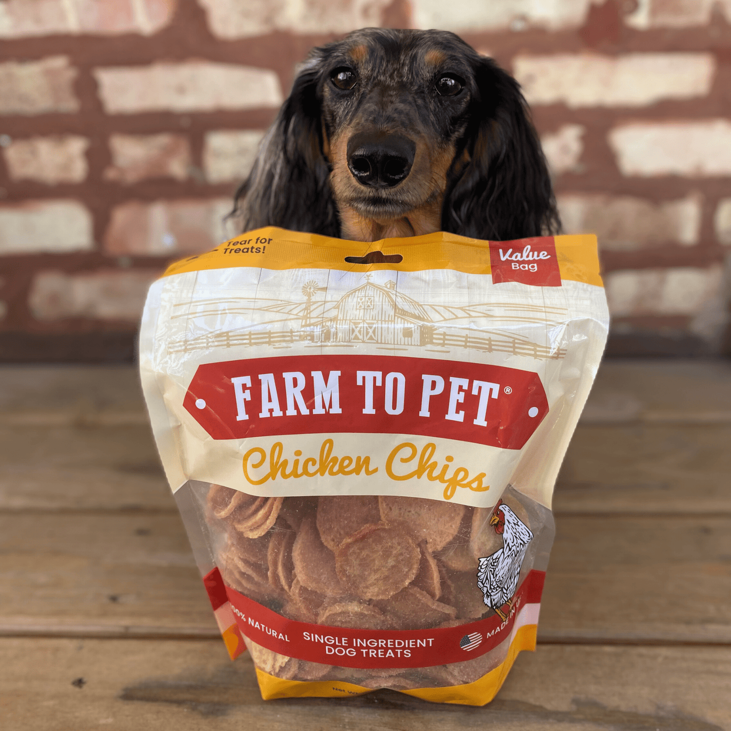Chicken Chips for Dogs | All-Natural Single-Ingredient Dog Treats