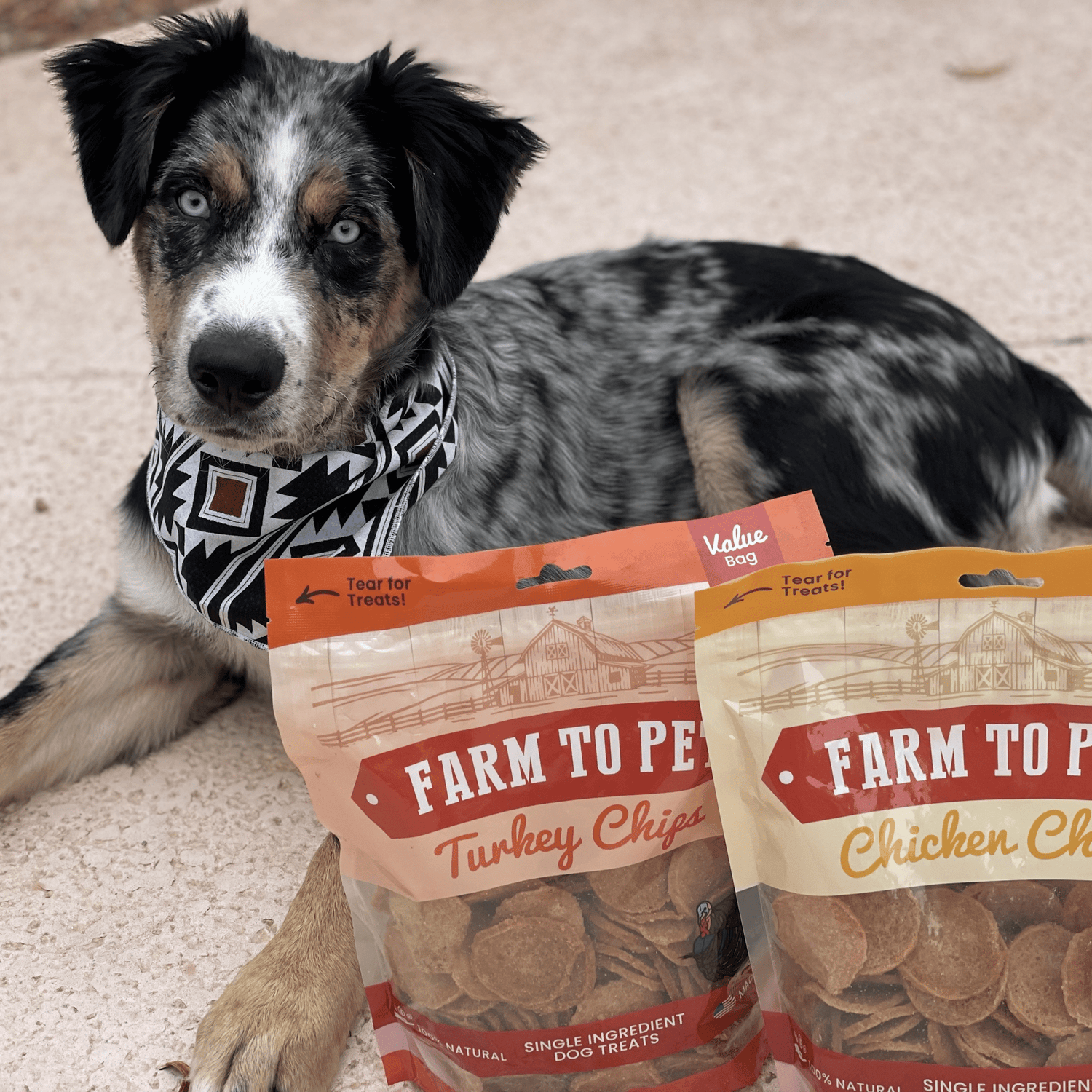 Turkey & Chicken Chip Dog Treat Duo | Single-Ingredient Poultry Treats for Dogs from Farm To Pet