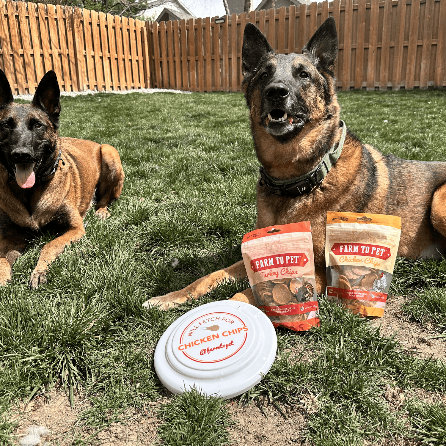 Turkey & Chicken Chip Dog Treat Duo | Single-Ingredient Poultry Treats for Dogs from Farm To Pet