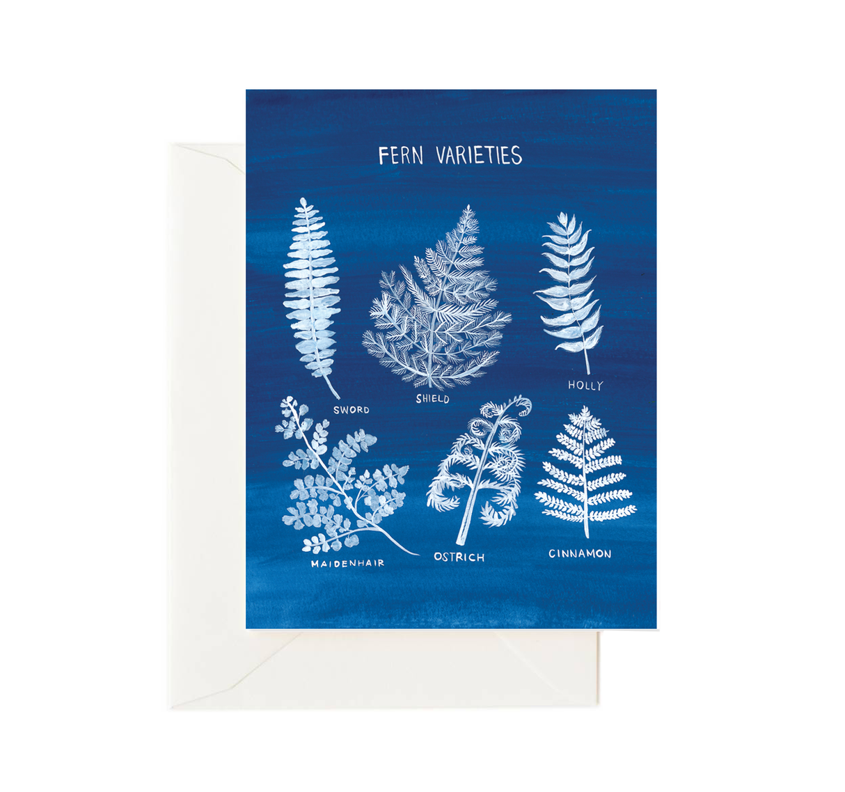Fern Varieties from Forage Paper Co.