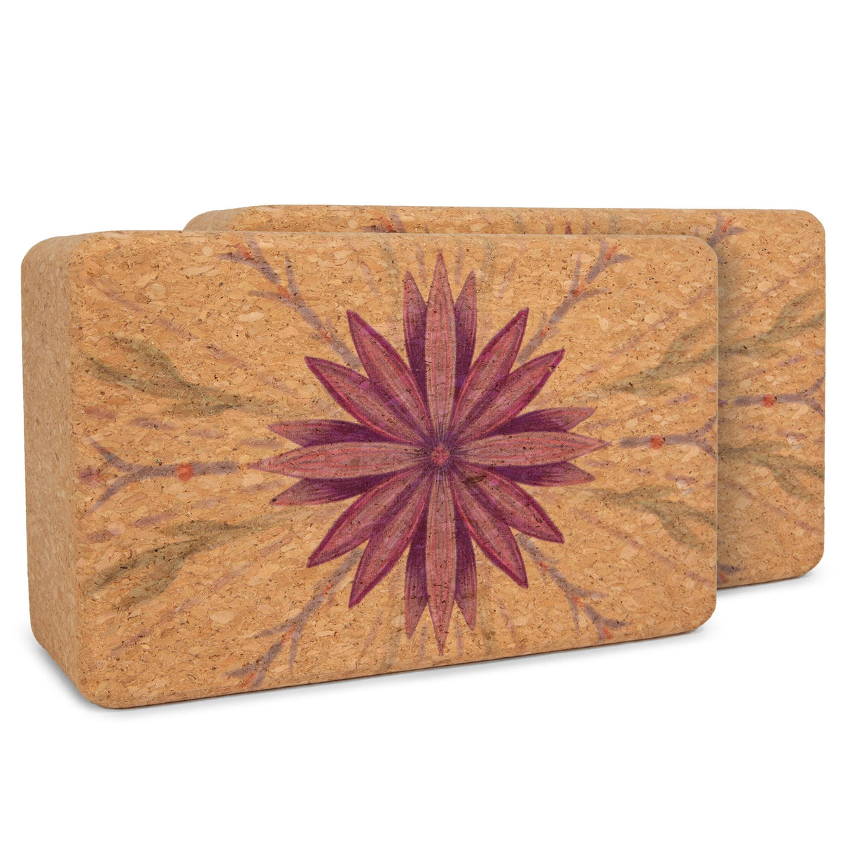 Artist Cork Yoga Block Set from Yoloha Yoga