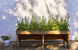 Seed Pops - Pollinator from Modern Sprout