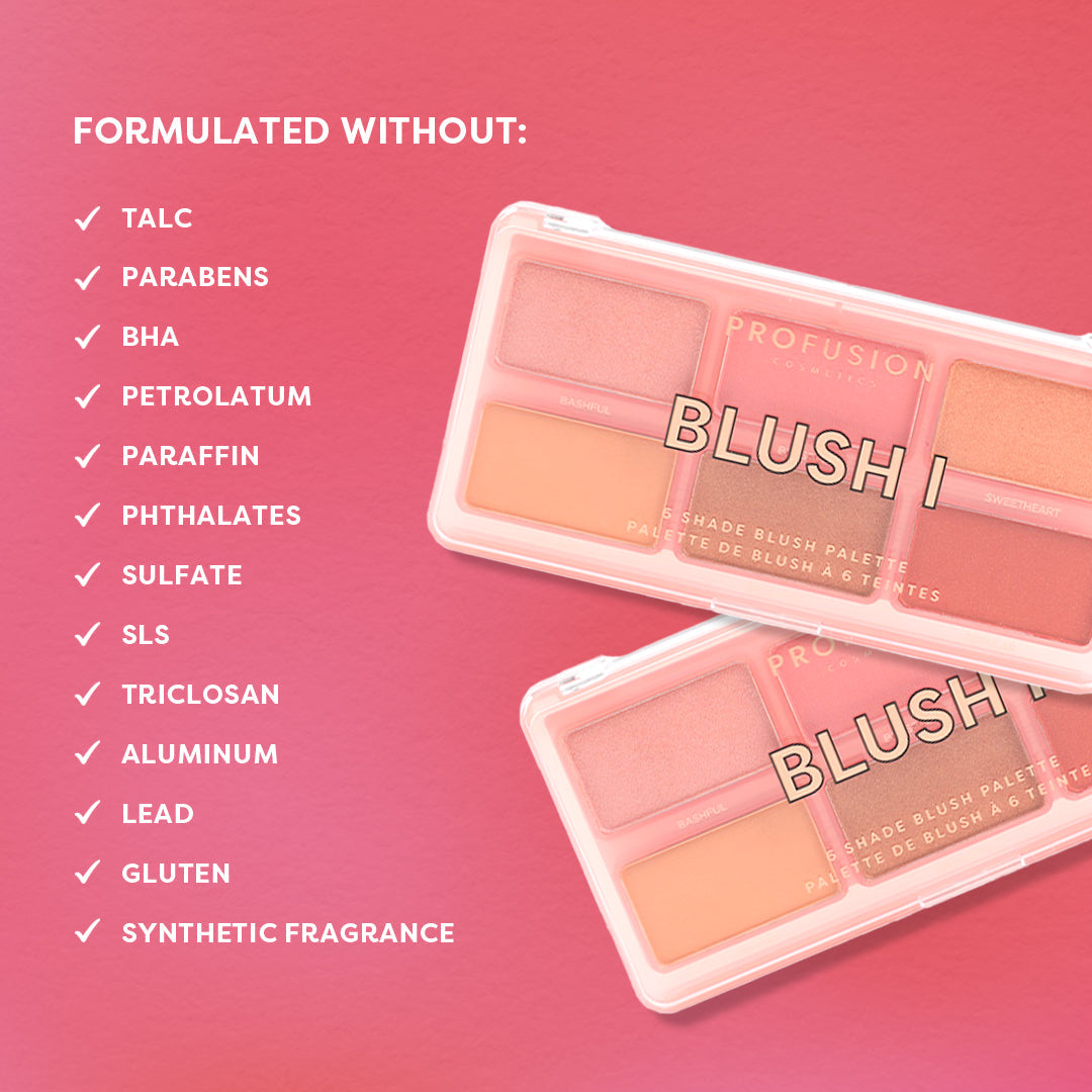 Blush 6 Shade Face Palette from Profusion Cosmetics