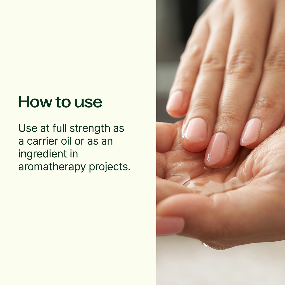 Fractionated Coconut Carrier Oil from Plant Therapy