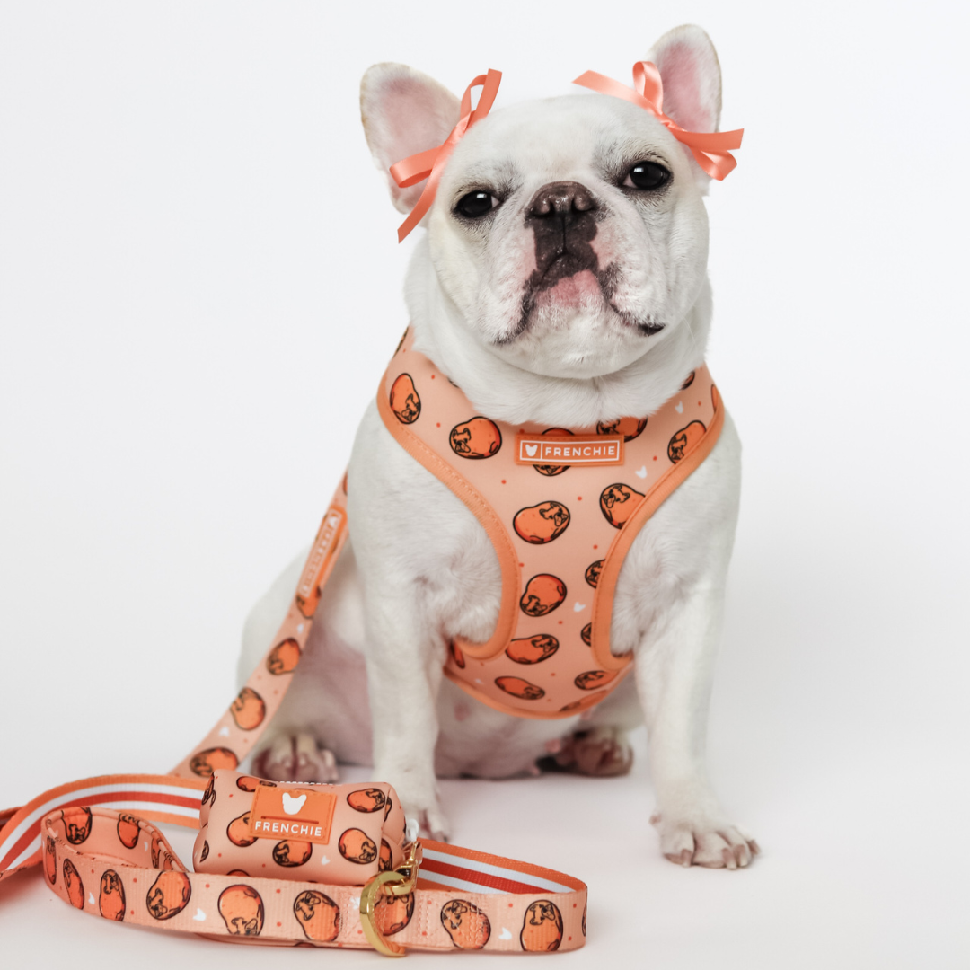Frenchie Duo Reversible Harness - French Potato from Frenchie Bulldog