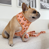 Frenchie Duo Reversible Harness - French Potato from Frenchie Bulldog