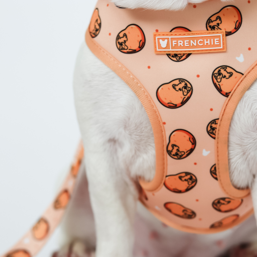 Frenchie Duo Reversible Harness - French Potato from Frenchie Bulldog