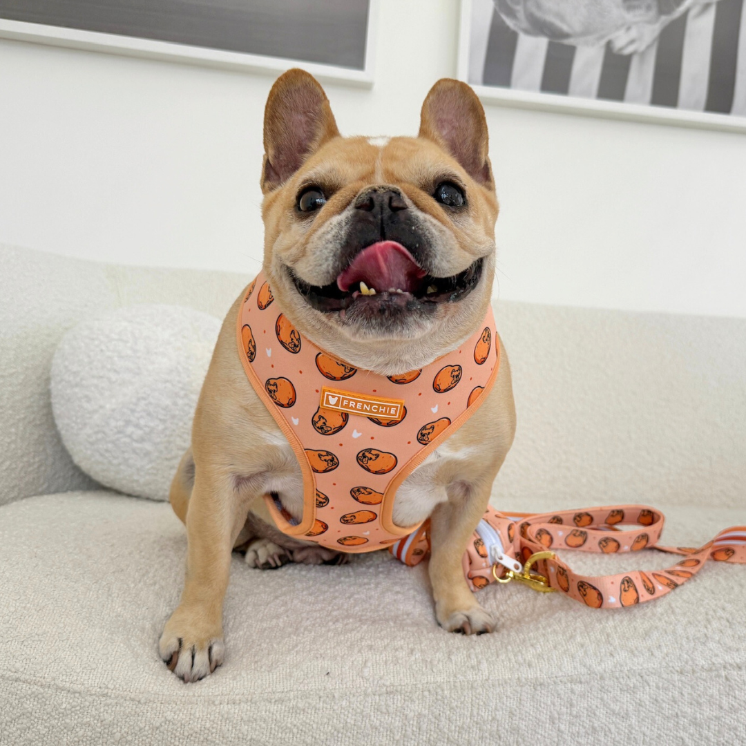 Frenchie Duo Reversible Harness - French Potato from Frenchie Bulldog