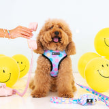 Frenchie Duo Reversible Harness - Good Vibes from Frenchie Bulldog