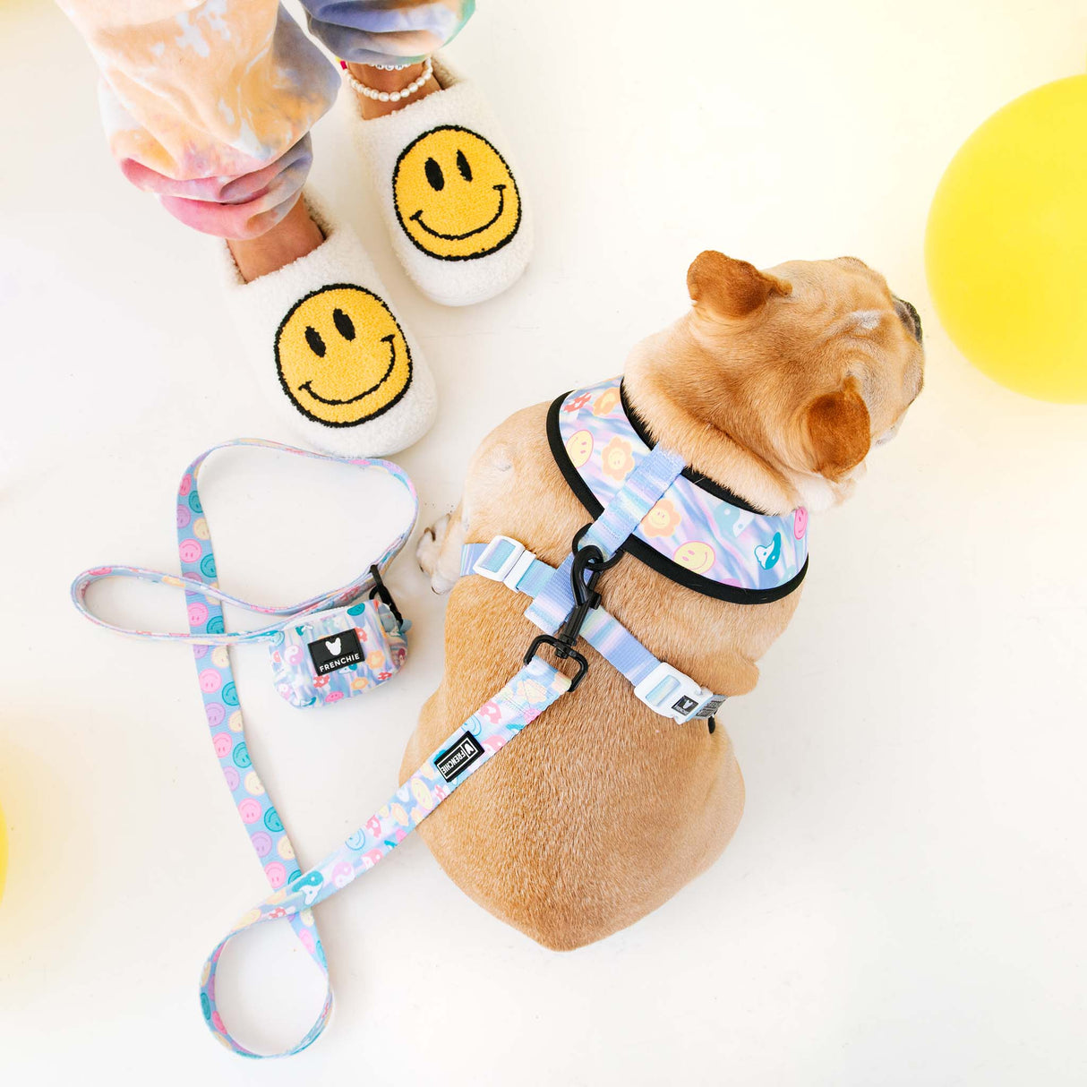 Frenchie Comfort Leash - Good Vibes from Frenchie Bulldog