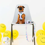 Frenchie Comfort Leash - Good Vibes from Frenchie Bulldog