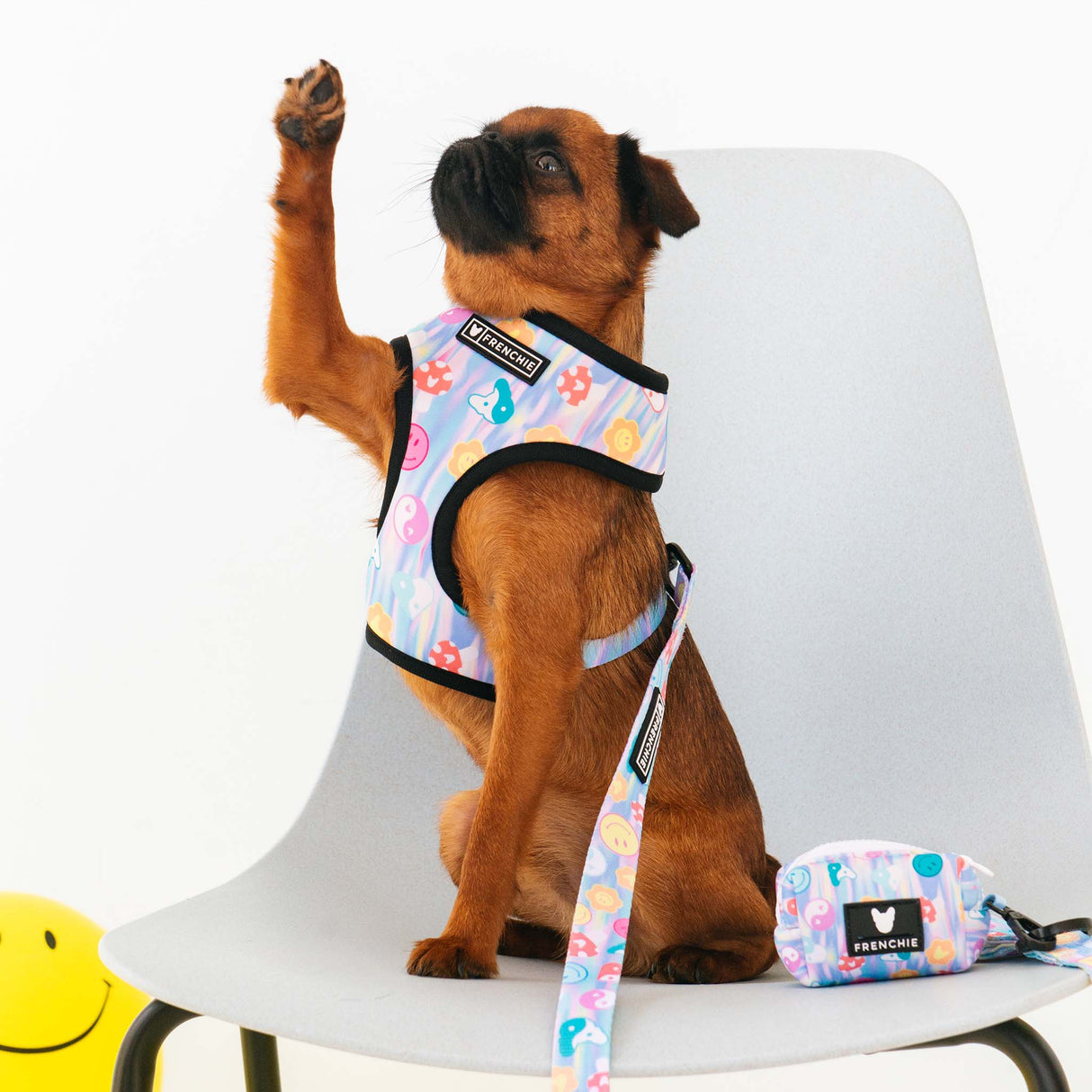 Frenchie Duo Reversible Harness - Good Vibes from Frenchie Bulldog