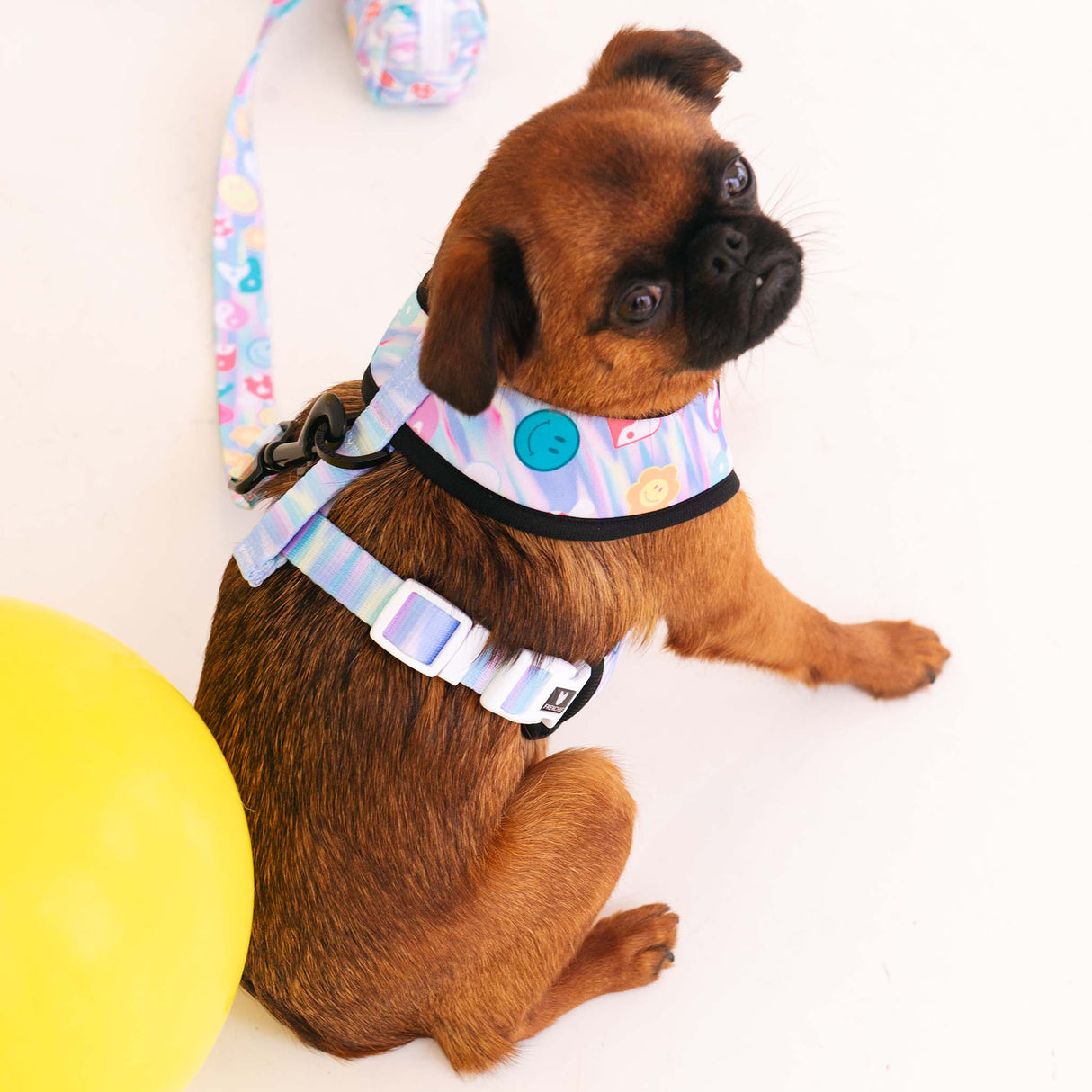 Frenchie Duo Reversible Harness - Good Vibes from Frenchie Bulldog