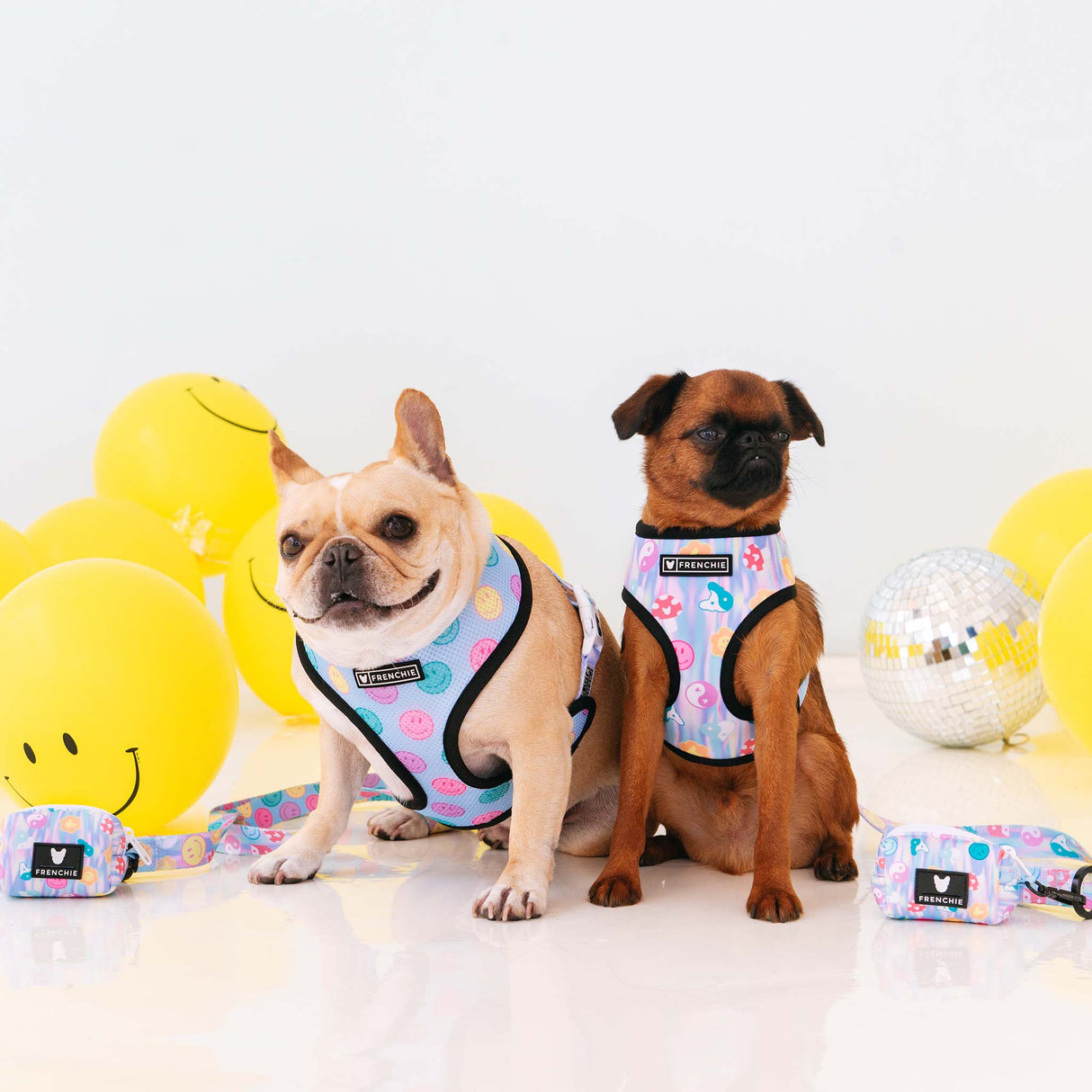 Frenchie Duo Reversible Harness - Good Vibes from Frenchie Bulldog