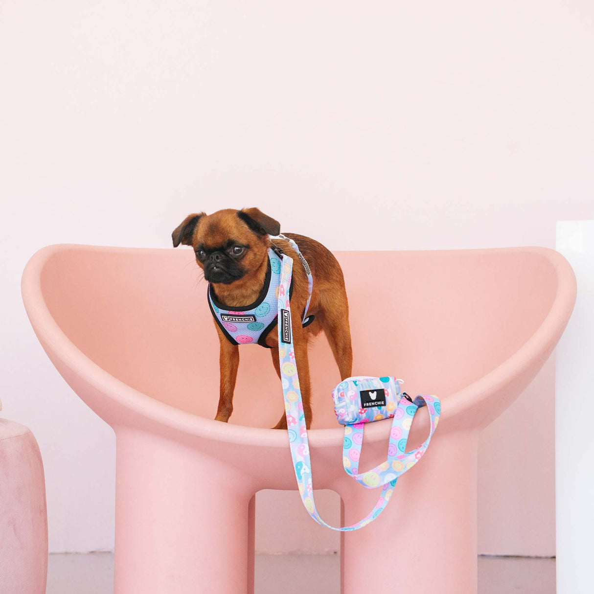 Frenchie Comfort Leash - Good Vibes from Frenchie Bulldog