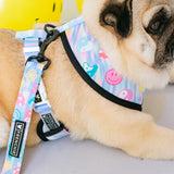 Frenchie Duo Reversible Harness - Good Vibes from Frenchie Bulldog
