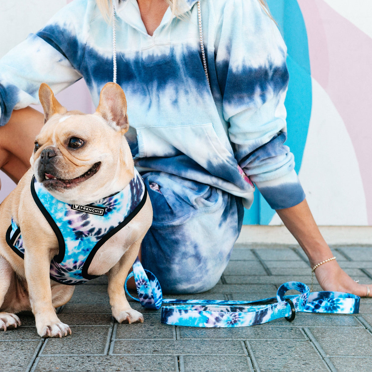 Frenchie Comfort Leash - Trippy Tie Dye from Frenchie Bulldog