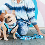 Frenchie Comfort Leash - Trippy Tie Dye from Frenchie Bulldog
