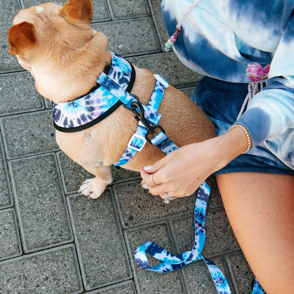 Frenchie Comfort Leash - Trippy Tie Dye from Frenchie Bulldog