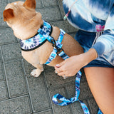 Frenchie Comfort Leash - Trippy Tie Dye from Frenchie Bulldog
