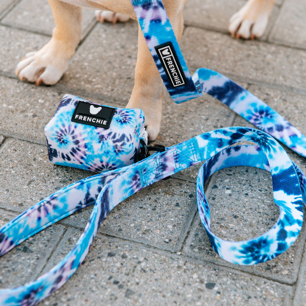 Frenchie Comfort Leash - Trippy Tie Dye from Frenchie Bulldog