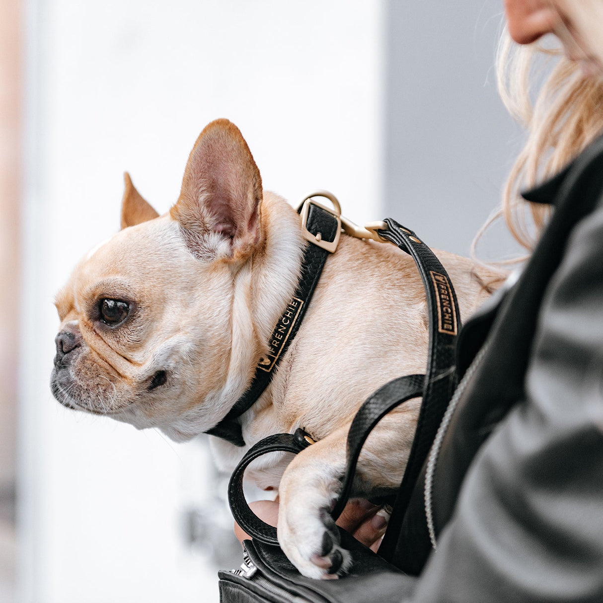 Vegan Leather- Black Croc from Frenchie Bulldog