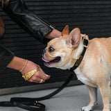Vegan Leather- Black Croc from Frenchie Bulldog