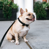 Vegan Leather- Black Croc from Frenchie Bulldog