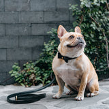 Vegan Leather- Black Croc from Frenchie Bulldog