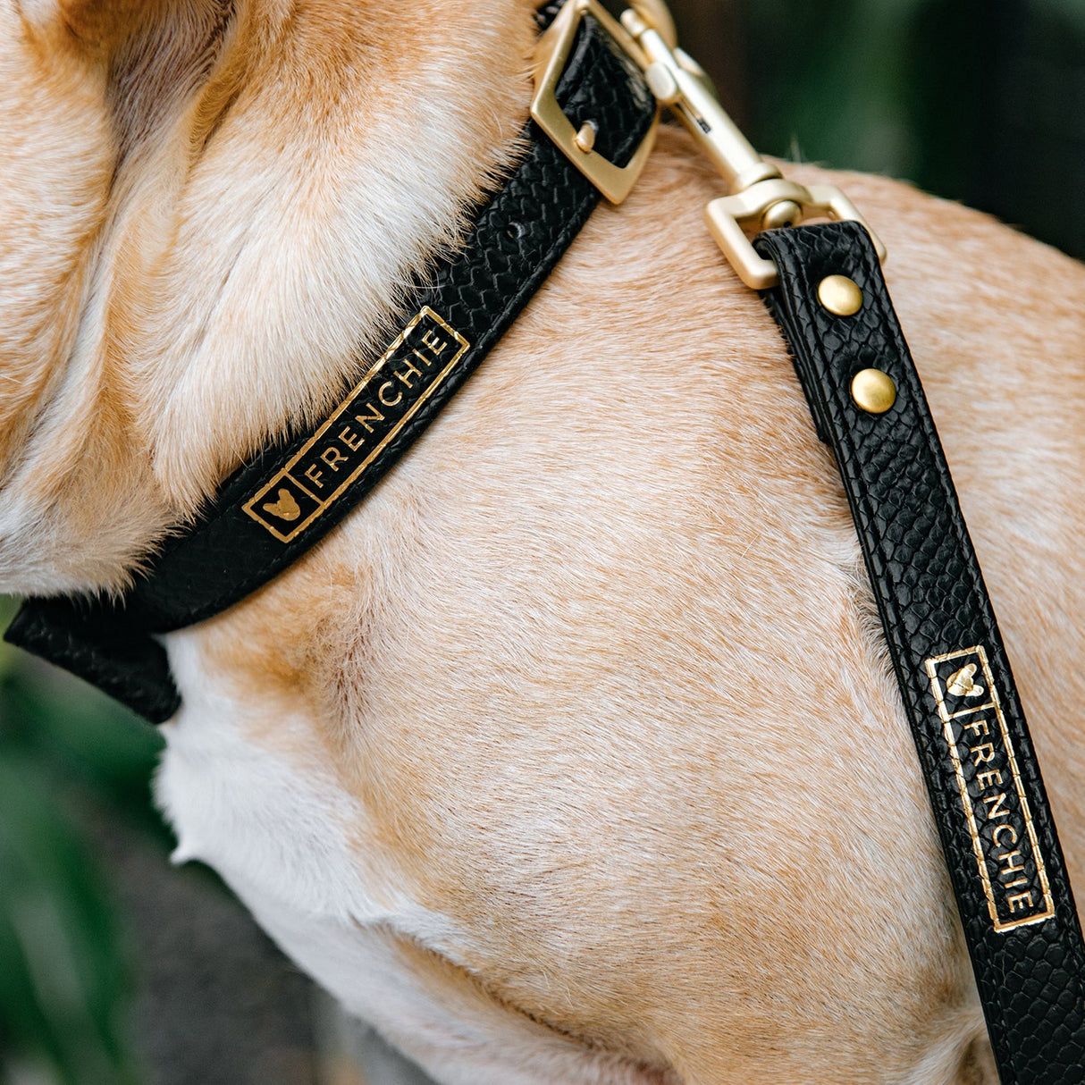 Vegan Leather- Black Croc from Frenchie Bulldog