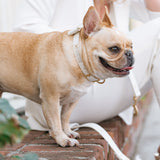 Vegan Leather- White Luxe from Frenchie Bulldog