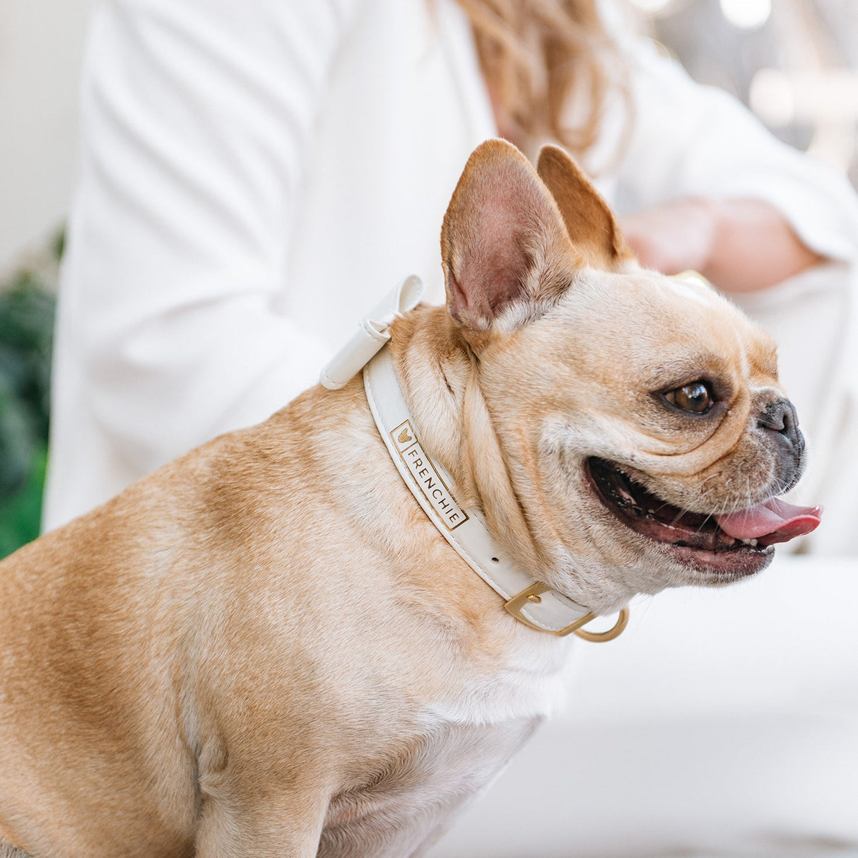 Vegan Leather- White Luxe from Frenchie Bulldog