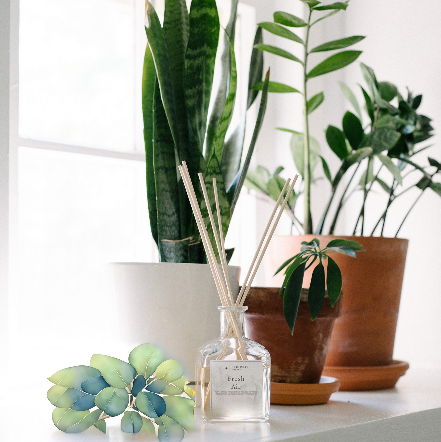 Reed Diffuser from Peripeti Home