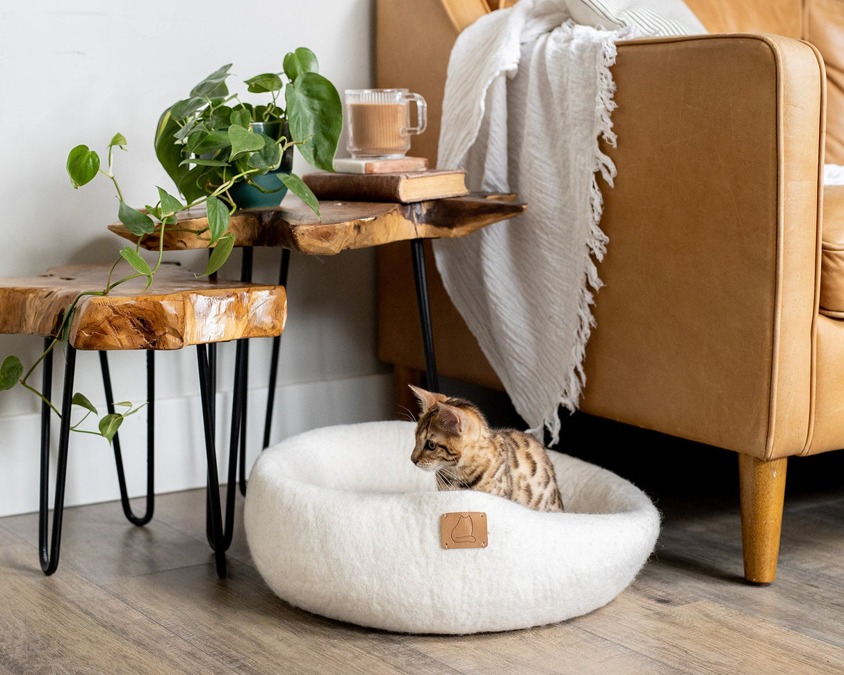 Snow White | Round Style Cave from Fuzzy Cove