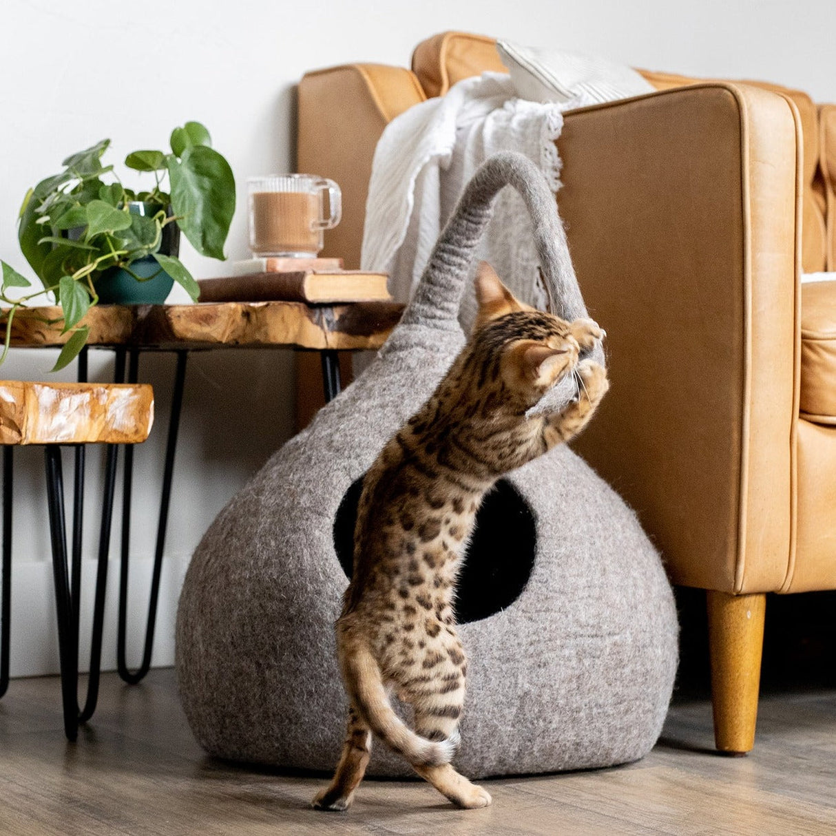Earth Brown | Tail Style Cave from Fuzzy Cove