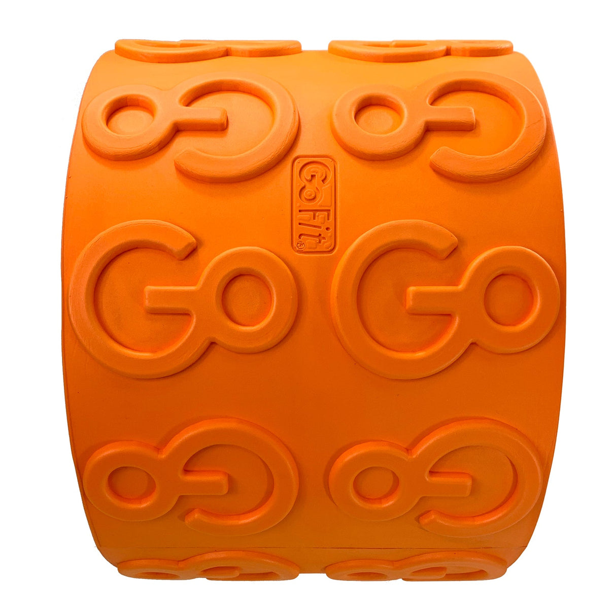 GoWheel (12-inch) From GoFit.net