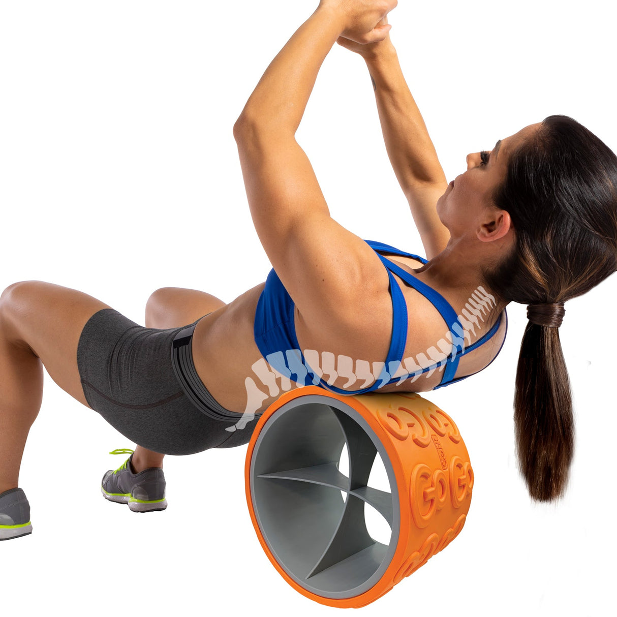 GoWheel (12-inch) From GoFit.net