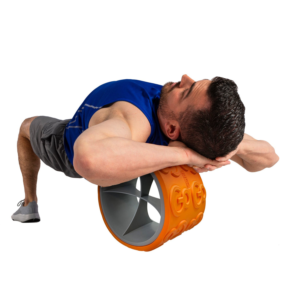 GoWheel (12-inch) From GoFit.net