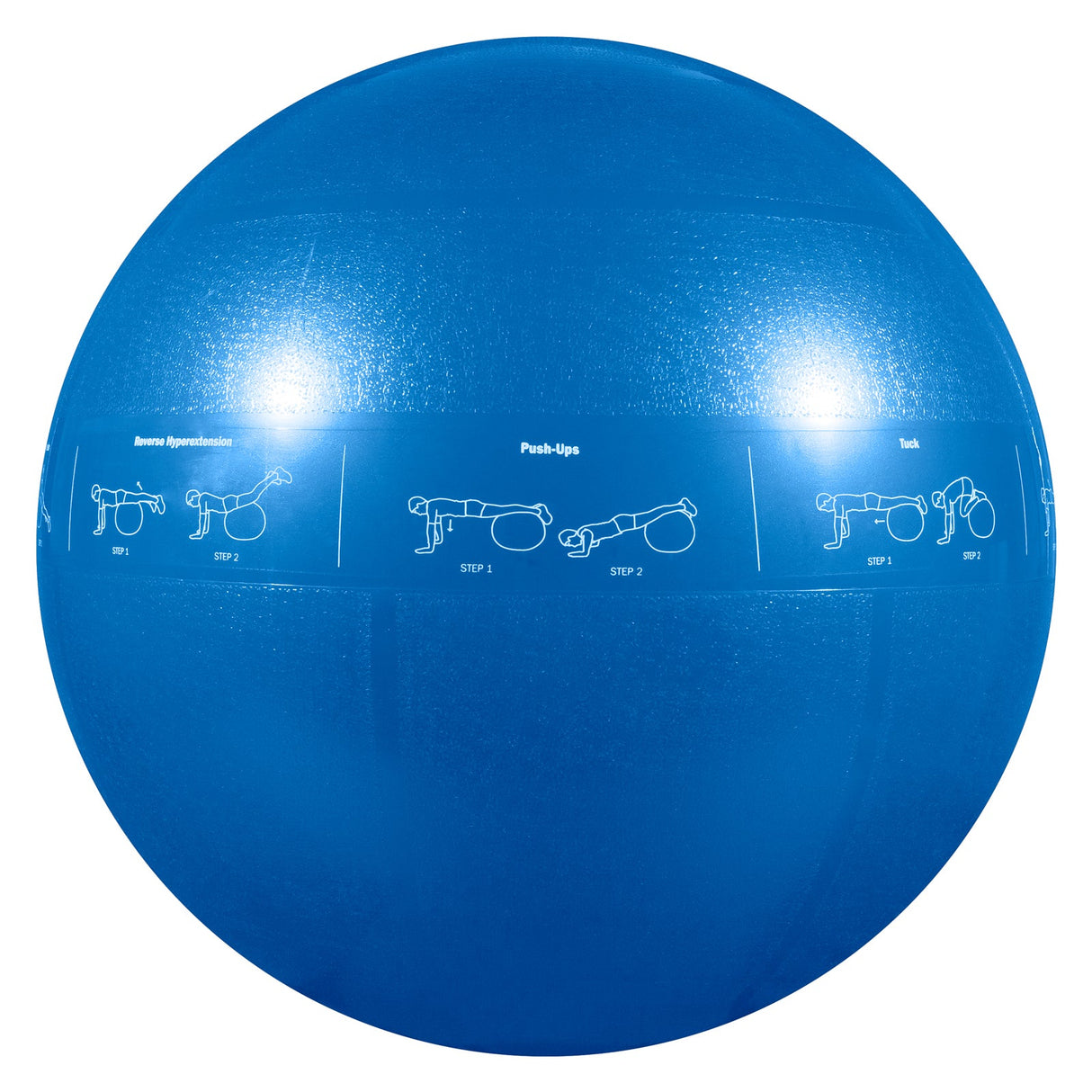 Guide Ball - Pro Grade Stability Ball From GoFit.net