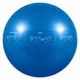 Guide Ball - Pro Grade Stability Ball From GoFit.net
