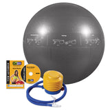 Guide Ball - Pro Grade Stability Ball From GoFit.net
