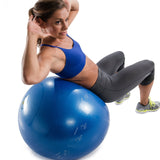Guide Ball - Pro Grade Stability Ball From GoFit.net